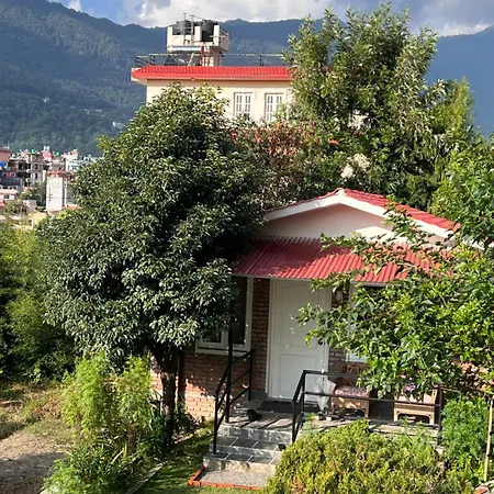 Avocado Accommodations